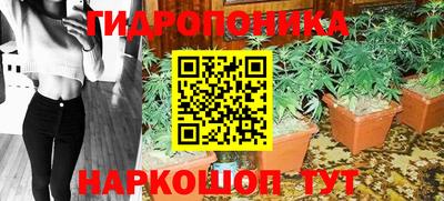 шишки Чебоксары