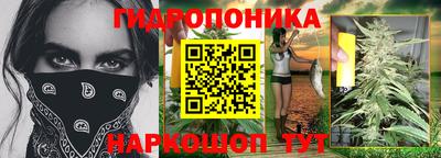 шишки Чебоксары