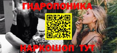 шишки Чебоксары