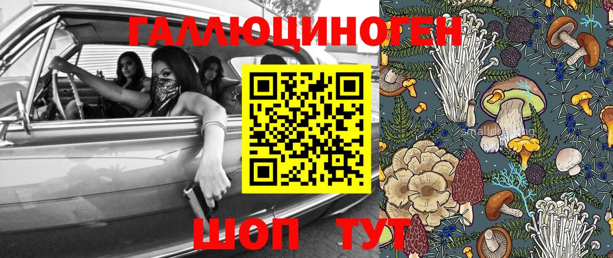 Псилоцибиновые грибы мицелий Волжский